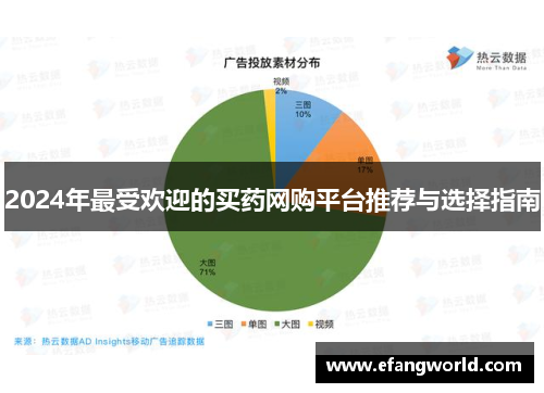 2024年最受欢迎的买药网购平台推荐与选择指南