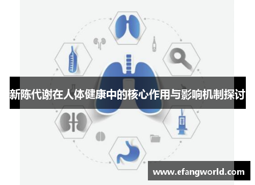 新陈代谢在人体健康中的核心作用与影响机制探讨